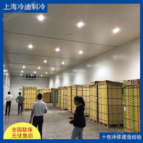 食品廠大型冷庫的安裝造價、設計與軟件開發(fā)全解析